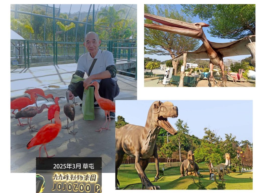 九九峰動物樂園 1
