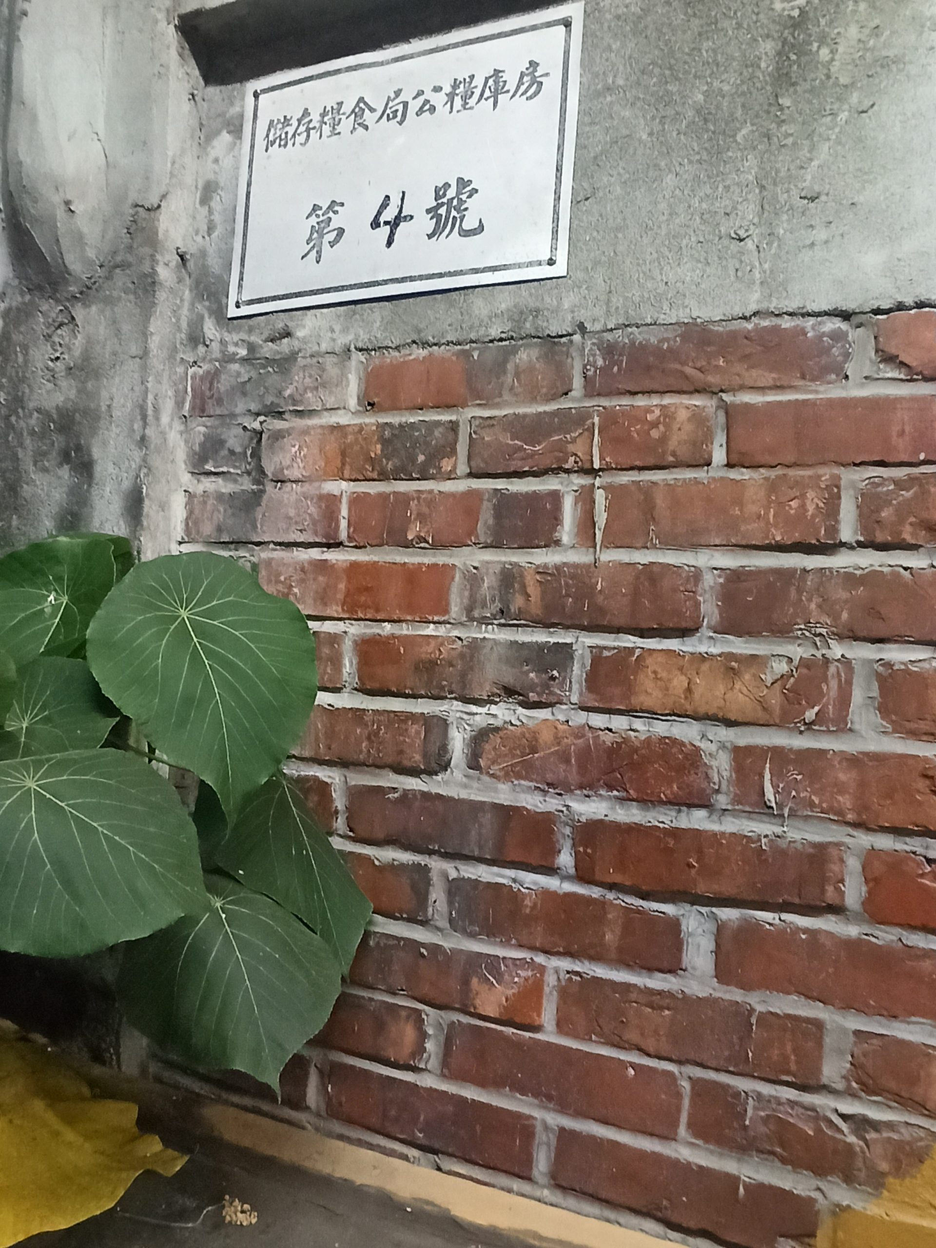 IMG 20250501 191308